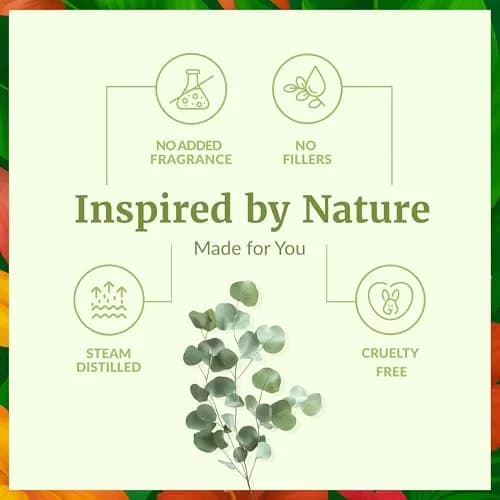 SVA ORGANICS Organic Eucalyptus Essential Oil 118 mL (4 Fl Oz) | Steam Distilled, Pure & Natural thumbnail 3