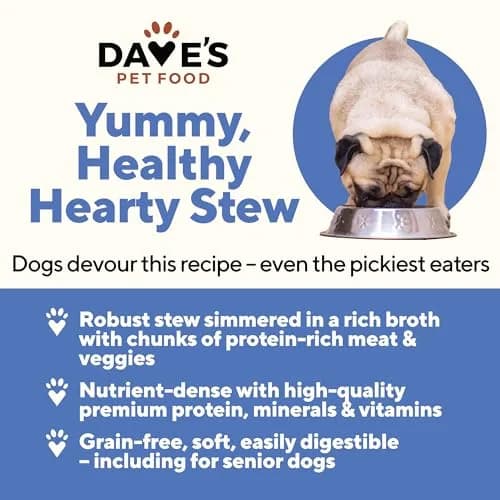 Dave's Pet Food Grain Free Wet Dog Food, Beef & Vegetable, 13.2 oz | High Protein, Grain-Free Nutrition thumbnail 2