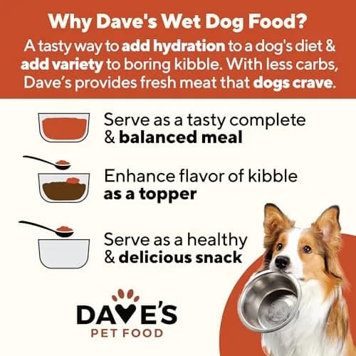 Dave's Pet Food Grain Free Wet Dog Food, Beef & Vegetable, 13.2 oz | High Protein, Grain-Free Nutrition thumbnail 3
