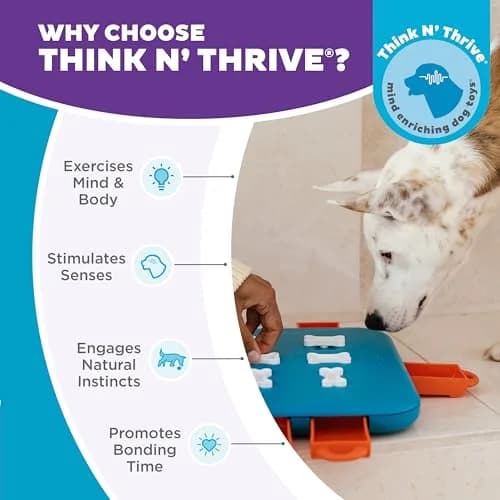 Outward Hound Nina Ottosson Dog Casino Treat Puzzle Toy 35.56 cm (14") | Advanced Level 3 Interactive Dog Enrichment thumbnail 6
