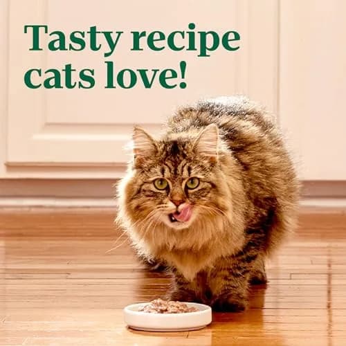 Nutro Perfect Portions Cuts Wet Cat Food, Tuna, 2.6 oz | Grain-Free, Moist & Complete Nutrition thumbnail 8