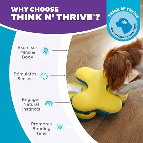 Outward Hound Nina Ottosson Dog Tornado Treat Puzzle 9.75" x 7.25" x 3.07" | Interactive Enrichment for Dogs thumbnail 6