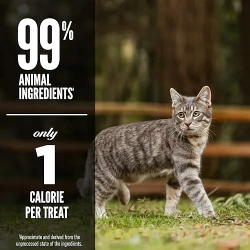ORIJEN Original Freeze Dried Cat Treats 1.25 oz (35.4 g) | 99% Animal Ingredients, Grain-Free, High Protein thumbnail 4