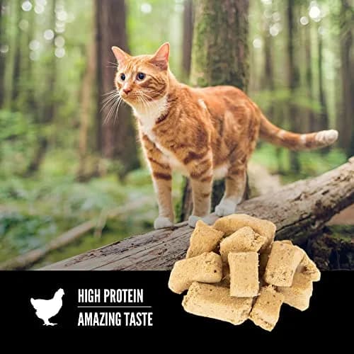 ORIJEN Original Freeze Dried Cat Treats 1.25 oz (35.4 g) | 99% Animal Ingredients, Grain-Free, High Protein thumbnail 3