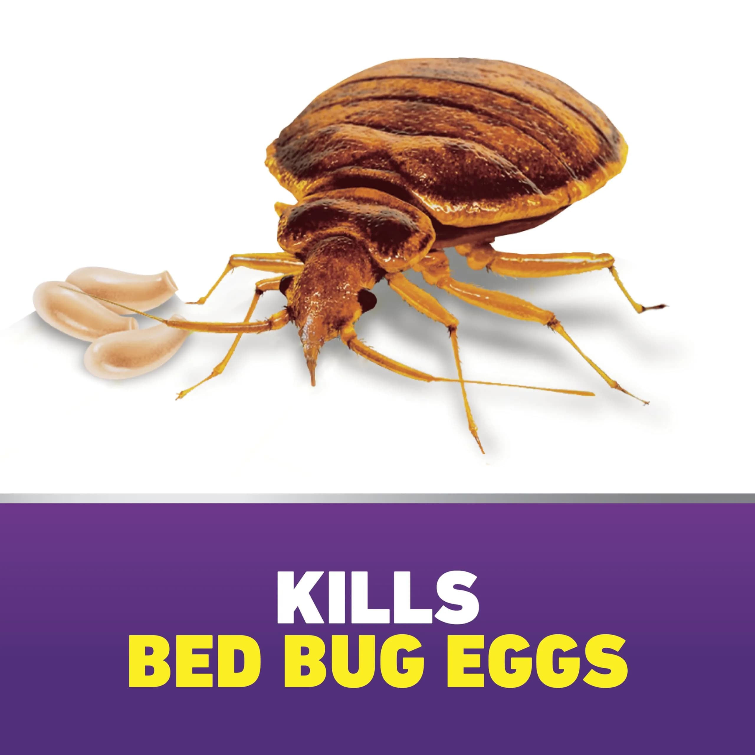 Ortho Home Defense Max Bed Bug & Flea Killer Aerosol Spray - Long-Lasting Insect Control for Your Home thumbnail 3
