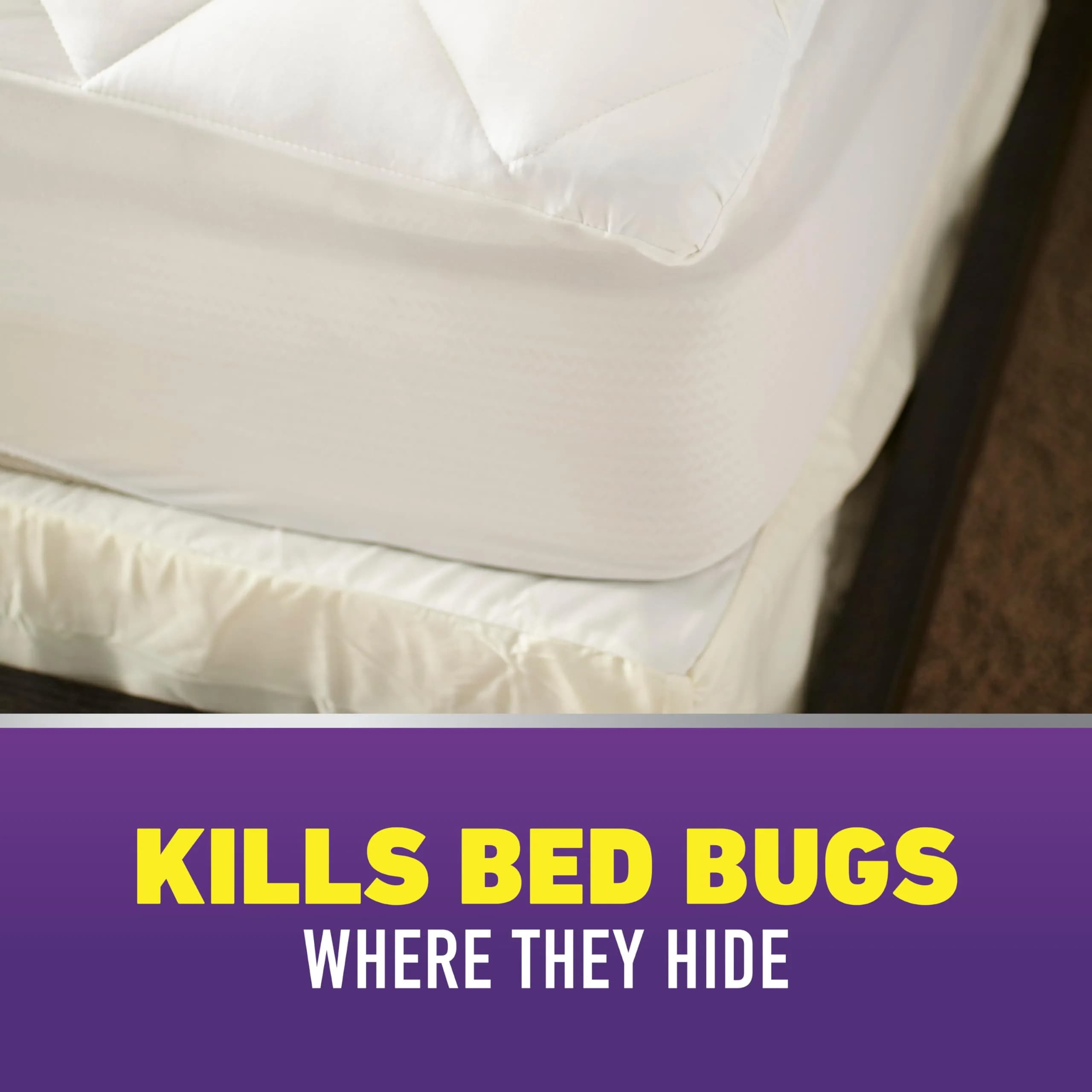 Ortho Home Defense Max Bed Bug & Flea Killer Aerosol Spray - Long-Lasting Insect Control for Your Home thumbnail 4