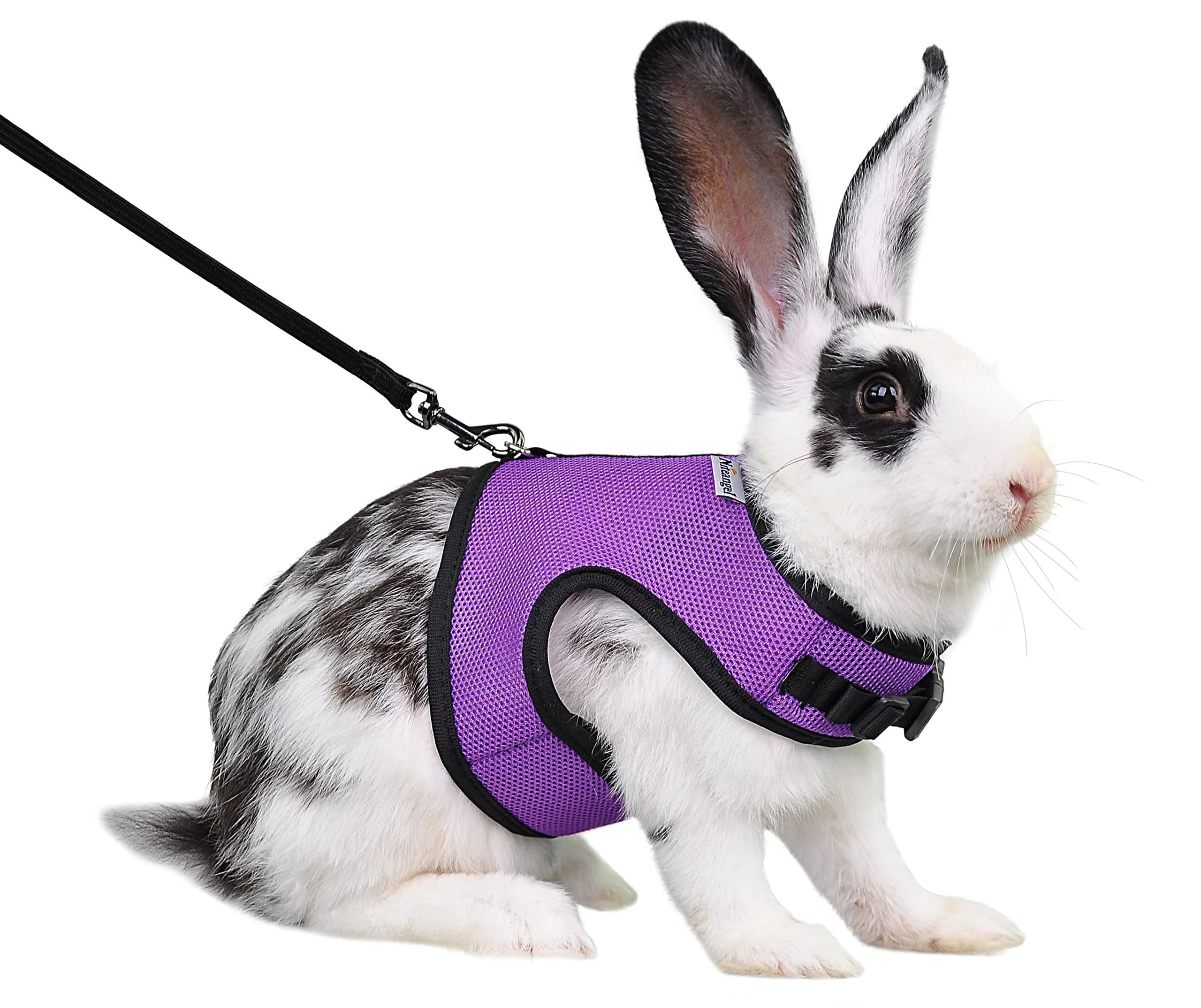 Niteangel Adjustable Soft Harness with Elastic Leash for Rabbits (L, Blue) | Escape-Proof Mesh Vest for Small Pets — Purple