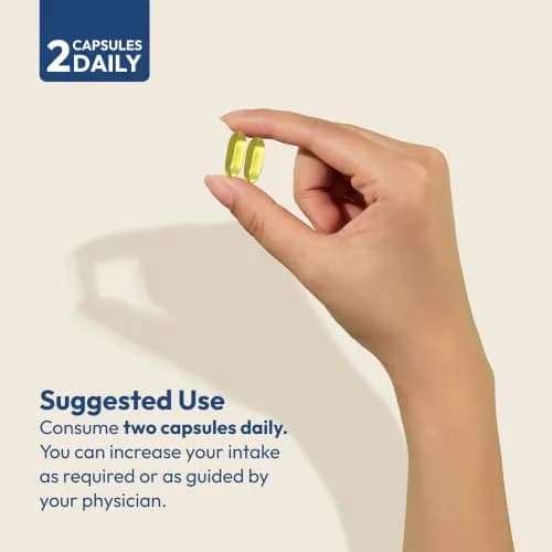 ANDREW LESSMAN ProCaps Essential Omega 3 Fish Oil 1200 mg | Premium Fish Oil Softgels for Daily Omega-3 Nutrition thumbnail 5