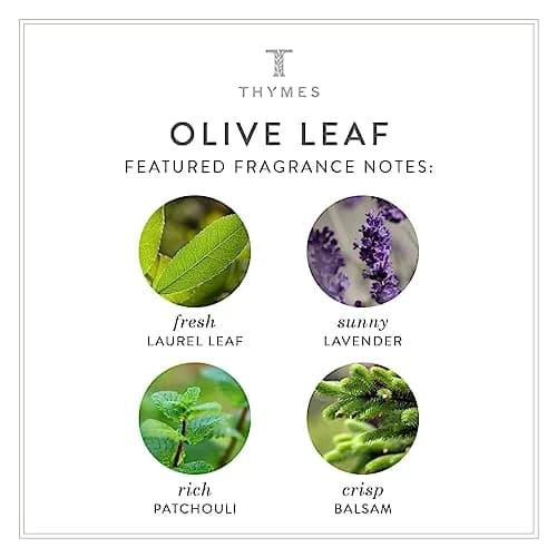 Thymes Olive Leaf Body Lotion 270ml (9.25 fl oz) | Hydrating Moisturizer with Shea Butter & Vitamin E thumbnail 7