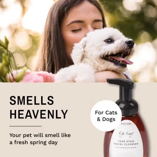 Eye Envy Tear Stain Facial Cleanser for Dogs & Cats 250ml (8.45 fl. oz.) | Gentle Foaming Formula for Eye Debris & Stains thumbnail 6