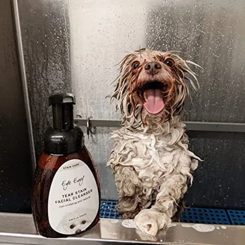 Eye Envy Tear Stain Facial Cleanser for Dogs & Cats 250ml (8.45 fl. oz.) | Gentle Foaming Formula for Eye Debris & Stains thumbnail 7