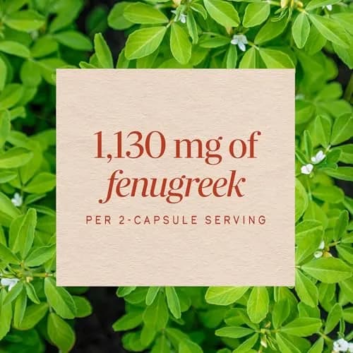Nature's Way Fenugreek Seed Capsules 320 Count | Traditional Lactation Support for Indian Mothers thumbnail 4