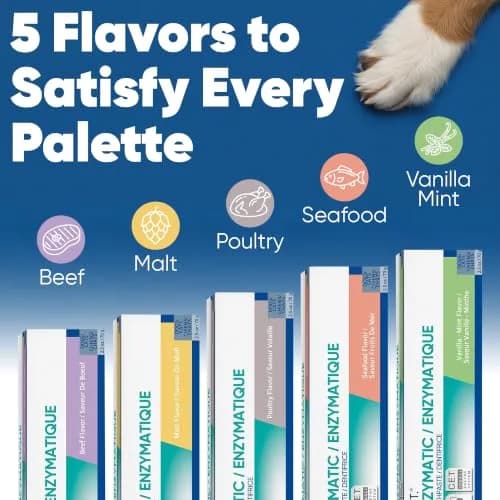 Virbac C.E.T. Enzymatic Toothpaste for Dogs and Cats, Beef Flavor, 70g (2.5oz) | Vet Recommended Dental Care thumbnail 4