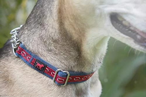 Tuff Pupper Martingale Dog Collar Large 18-26" Neck | Adjustable Nylon & Stainless Steel Chain for Training thumbnail 8