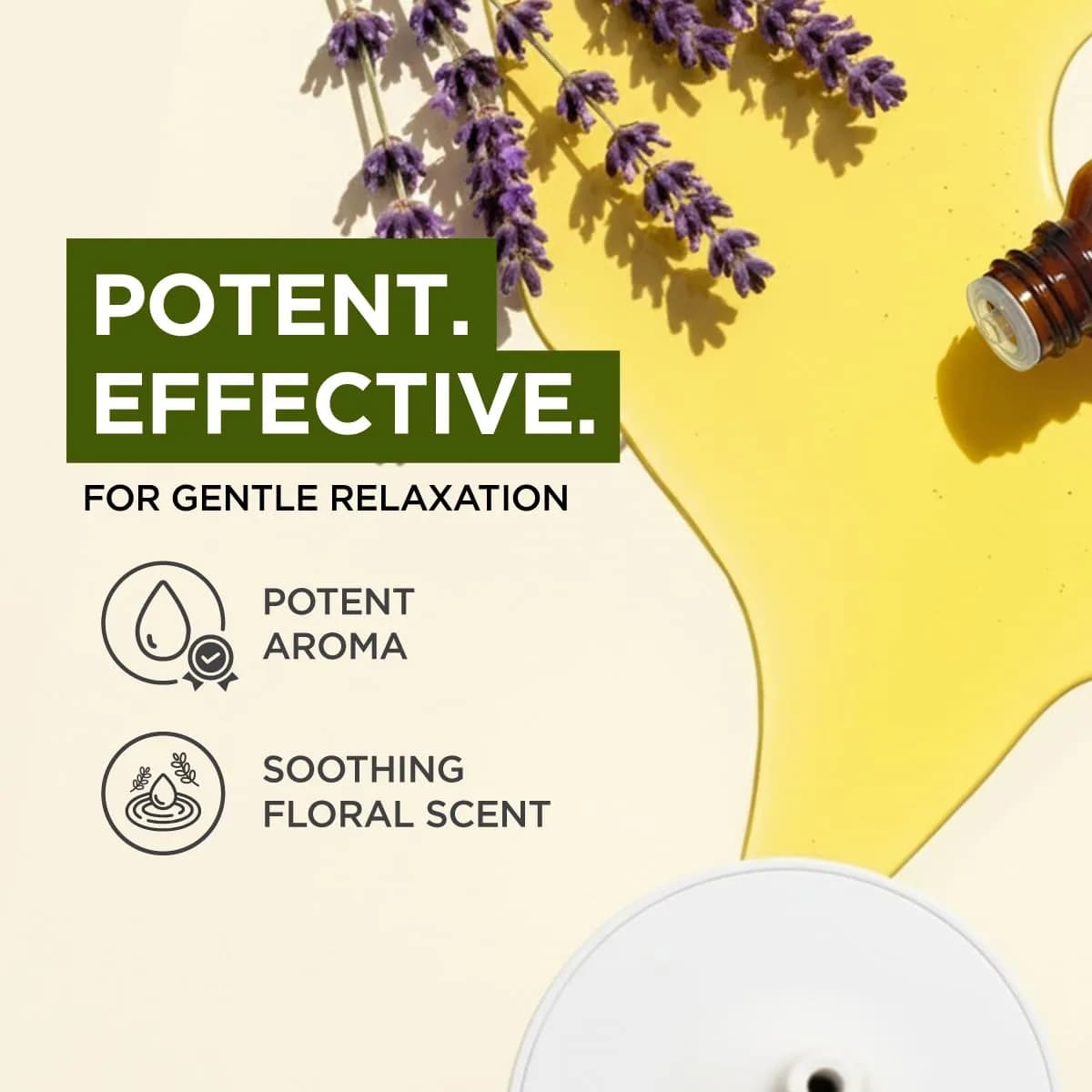 Gya Labs Lavender Essential Oil Pure 0.34 Fl Oz (10 ml) | USA Imported for Diffuser, Skin, Hair & Candle Making thumbnail 3