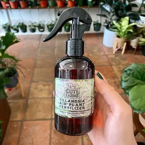 Cute Farms Air Plant Fertilizer Spray | Gentle Weekly Use Formula Plant Food | 16 fl oz (2 Pack) | Nutrient Blend for Epiphytes thumbnail 4