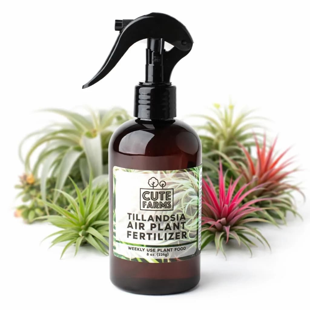 Cute Farms Air Plant Fertilizer Weekly Use Formula Plant Food 237ml (8 fl oz) | Gentle Nutrients for Tillandsia - main product image