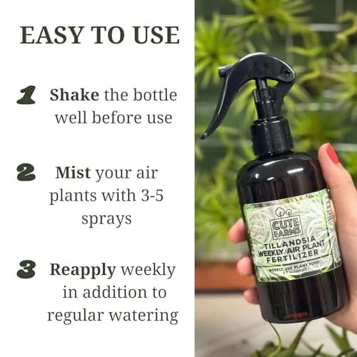 Cute Farms Air Plant Fertilizer Weekly Use Formula Plant Food 237ml (8 fl oz) | Gentle Nutrients for Tillandsia thumbnail 5