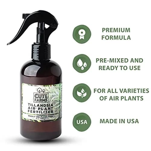 Cute Farms Air Plant Fertilizer Weekly Use Formula Plant Food 237ml (8 fl oz) | Gentle Nutrients for Tillandsia thumbnail 2