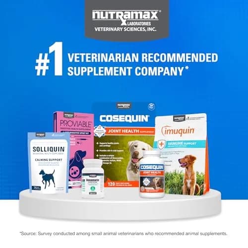 Nutramax Cosequin Dog Joint Supplement Tablets with MSM & HA, 75 Count | Vet Recommended Canine Mobility Support thumbnail 7