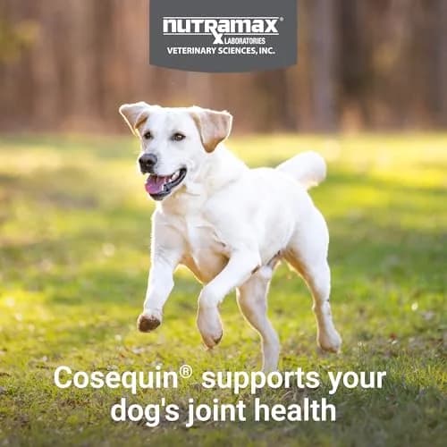 Nutramax Cosequin Dog Joint Supplement Tablets with MSM & HA, 75 Count | Vet Recommended Canine Mobility Support thumbnail 2