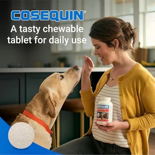 Nutramax Cosequin Dog Joint Supplement Tablets with MSM & HA, 75 Count | Vet Recommended Canine Mobility Support thumbnail 3