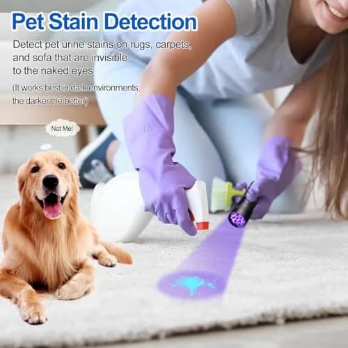 Vansky UV Light 395nm Blacklight Flashlight | Pet Urine Detection & Invisible Stain Finder thumbnail 4