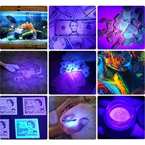 DARKBEAM UV 395nm Flashlight 2 Pack | Detect Pet Urine & Fluorescent Items thumbnail 3