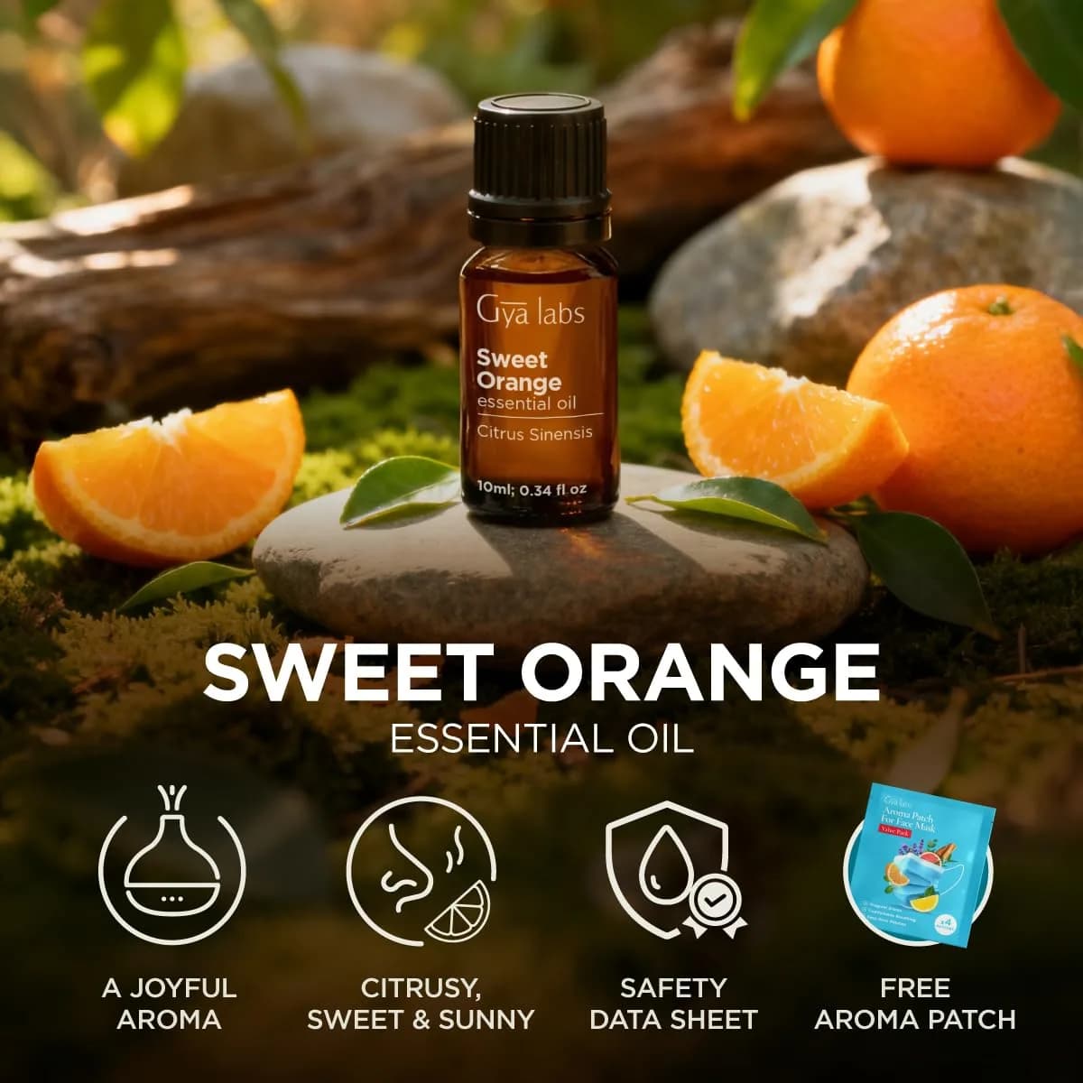 Gya Labs Orange Essential Oil 10ml (0.34 Fl Oz) | Uplifting Citrus Scent for Diffusers, Skin Care & Candle Making thumbnail 6