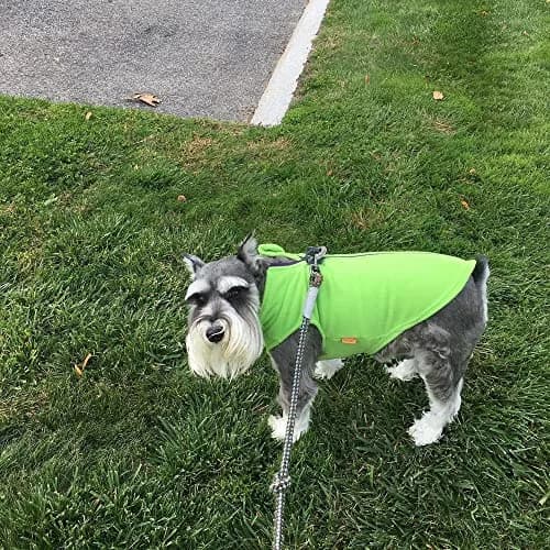 Gooby Zip-Up Fleece Dog Sweater Lime X-Large | Warm Winter Pet Apparel with Leash D-Ring thumbnail 6