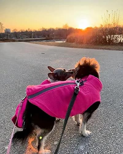 Gooby Zip-Up Fleece Dog Sweater Lime X-Large | Warm Winter Pet Apparel with Leash D-Ring thumbnail 7