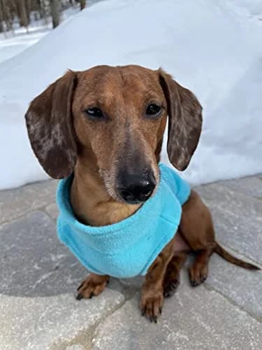 Gooby Zip-Up Fleece Dog Sweater, Turquoise, X-Small (28 cm Chest) thumbnail 7