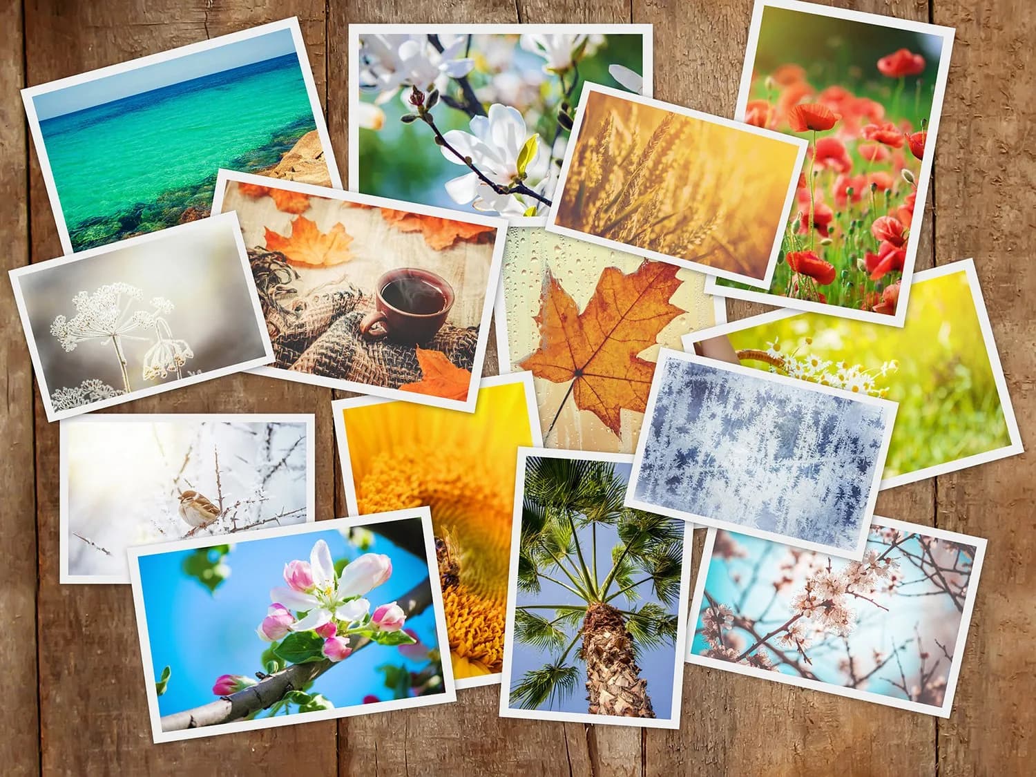 KODAK 2x3 Premium Sticky-Backed ZINK Photo Paper (20 Sheets) | Fade-Resistant Prints for Instant Memories thumbnail 9