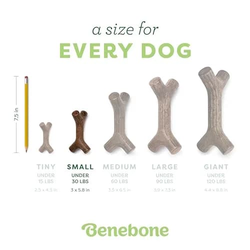 Benebone Bacon Stick Small | Durable Chew Toy with Real Bacon Flavor for Dogs thumbnail 4
