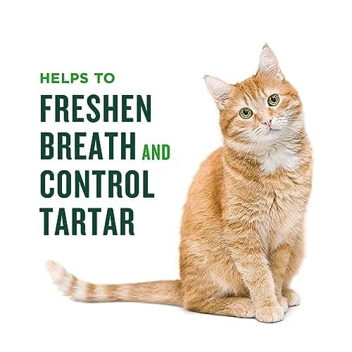 Minties Salmon Flavored Dental Treats for Cats 70.87g (2.5oz) | Freshens Breath & Controls Tartar thumbnail 3