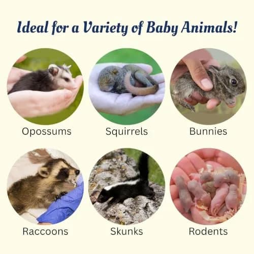 Exotic Nutrition ZooPro Milk Replacer Powder 250g (8.8 oz) | For Baby Squirrels, Rabbits, Opossums, Raccoons thumbnail 5