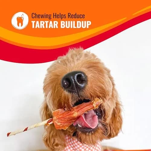 GOOD 'N' FUN Triple Flavored Rawhide Kabobs for Dogs, 144 oz (4.08 kg) | Long-Lasting Protein Chews thumbnail 10