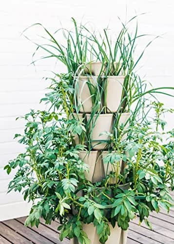 Greenstalk 5 Tier Vertical Garden Planter with Internal Watering System | Grow Vegetables & Flowers thumbnail 10