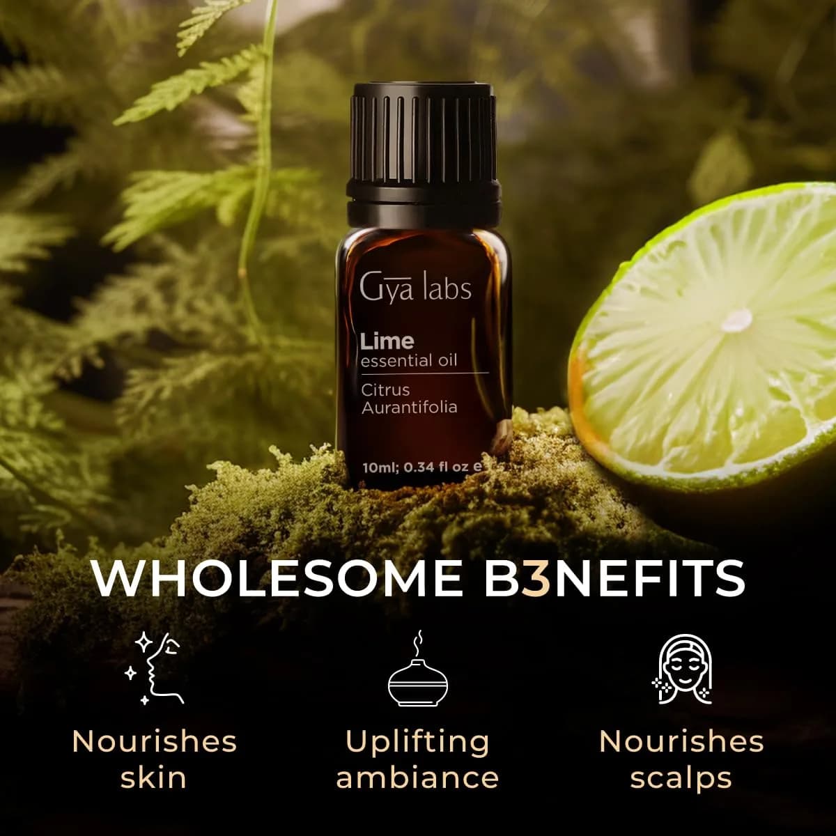 Gya Labs 100% Pure Lime Essential Oil for Skin, Hair & Candle Making Scent | Aromatherapy Grade 10ml (0.34 Fl Oz) thumbnail 5