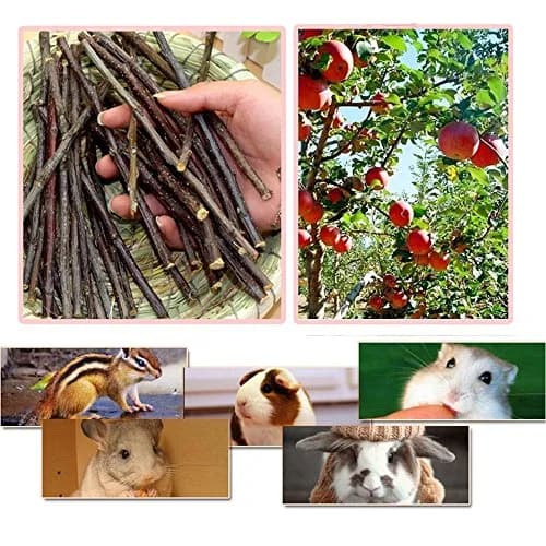 sharllen Apple Sticks Pet Chew Toys 300g | Natural Organic Small Animal Molar Treats thumbnail 5
