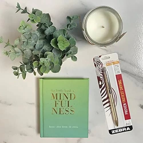 Zebra SARASA Grand Gel Pen 0.7mm | Gold Brass Finish, Smear-Resistant, Refillable, 1-Pack (70-120c) thumbnail 3