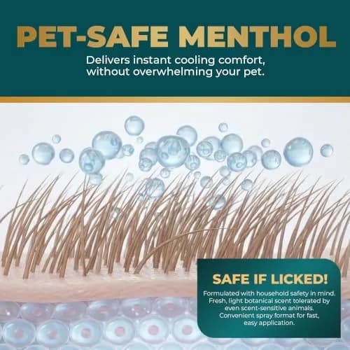 Real Time Pain Relief Pet Formula - 4oz Spray Bottle | Vet Recommended Relief for Pets thumbnail 5