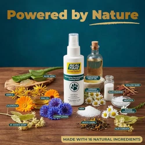 Real Time Pain Relief Pet Formula - 4oz Spray Bottle | Vet Recommended Relief for Pets thumbnail 2