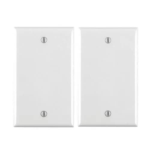 Leviton 1-Gang Blank Wall Plate White 2-Pack | Standard Size Thermoplastic Nylon Box Mount