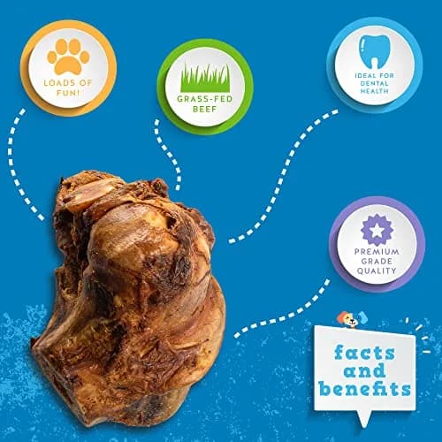 Jack & Pup Beef Knuckle Bones for Dogs, 2 Count | Natural Smoked Beef Flavor, Supports Dental & Jaws Health thumbnail 3