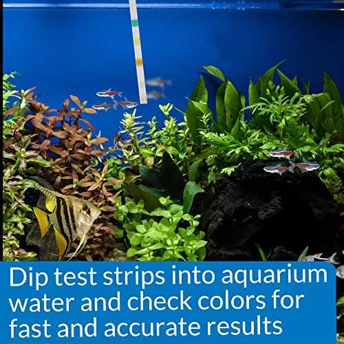API 5-IN-1 TEST STRIPS 100-Count Aquarium Water Testing Kit | pH, Nitrite, Nitrate, Carbonate & Hardness thumbnail 6