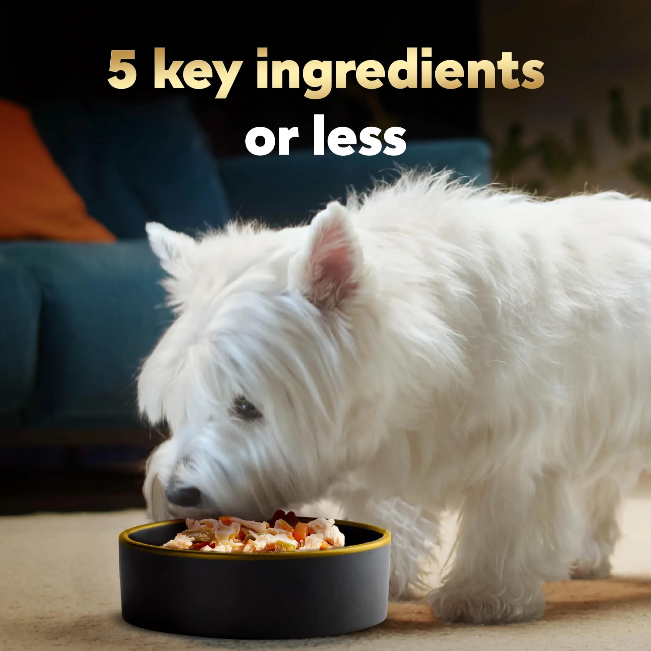 Cesar Simply Crafted Wet Dog Food Toppers, Chicken & Peas, 1.3 oz, 10 Count | Real Chicken & Veggies thumbnail 3