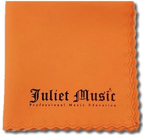 Hohner Special 20 Harmonica, 10 Holes Major C Bundle with Hard Case & Juliet Music Polishing Cloth | German Quality Craftsmanship thumbnail 6