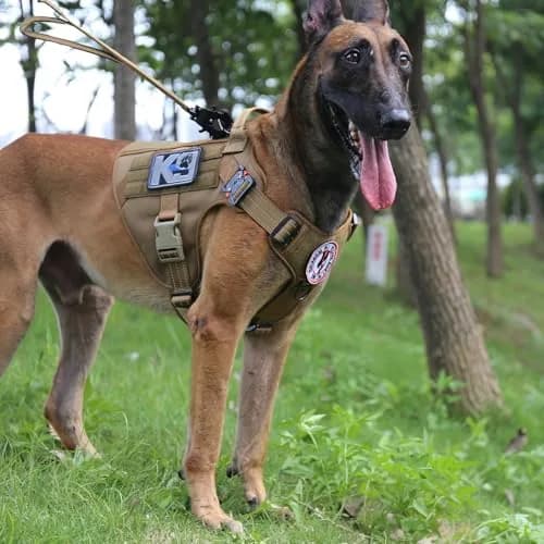 ICEFANG Tactical Dog Harness for Large Dogs, Reflective No-Pull Vest 650g (22.9 oz) | Heavy Duty Control Handle & MOLLE System thumbnail 4