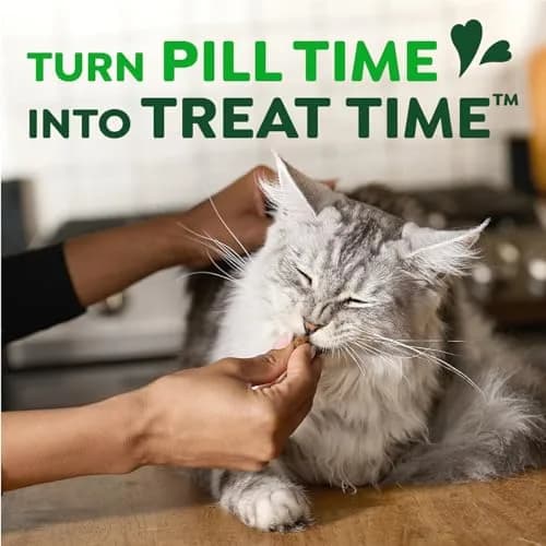 Greenies Feline Pill Pockets Salmon Flavor 85 Count | Vet-Recommended Cat Treats for Hiding Pills thumbnail 8